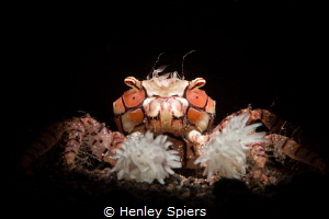 Underwater Cheerleader by Henley Spiers 